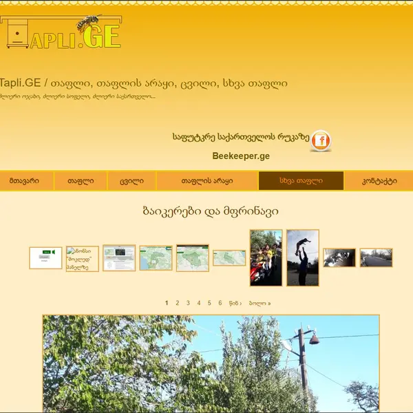 იყიდება დომენი tapli.ge