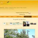 იყიდება დომენი tapli.ge