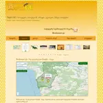 იყიდება დომენი tapli.ge - 2