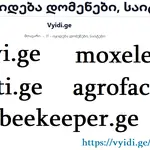იყიდება დომენი vyidi.ge - 2