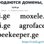 იყიდება საიტი vyidi.ge - 3