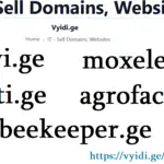 იყიდება დომენი vyidi.ge